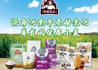 比普通面粉貴5倍！河套平原小麥粉憑什么？